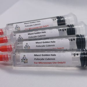 Spore Print Syringes
