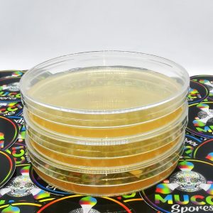 Agar Petri Dishes (MEA)